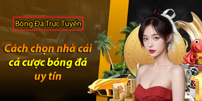 Cách chọn nhà cái cá cược bóng đá uy tín